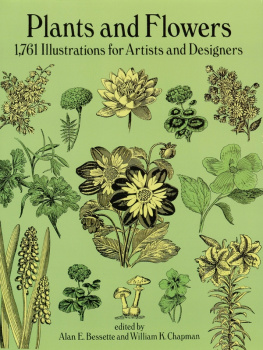 Alan E. Bessette Plants and Flowers: 1761 Illustrations for Artists and Designers