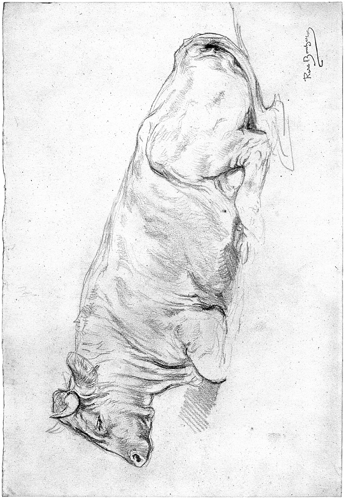 Plate 8 ROSA BONHEUR Plate 9 HIERONYMUS BOSCH Plate 10 ED - photo 9