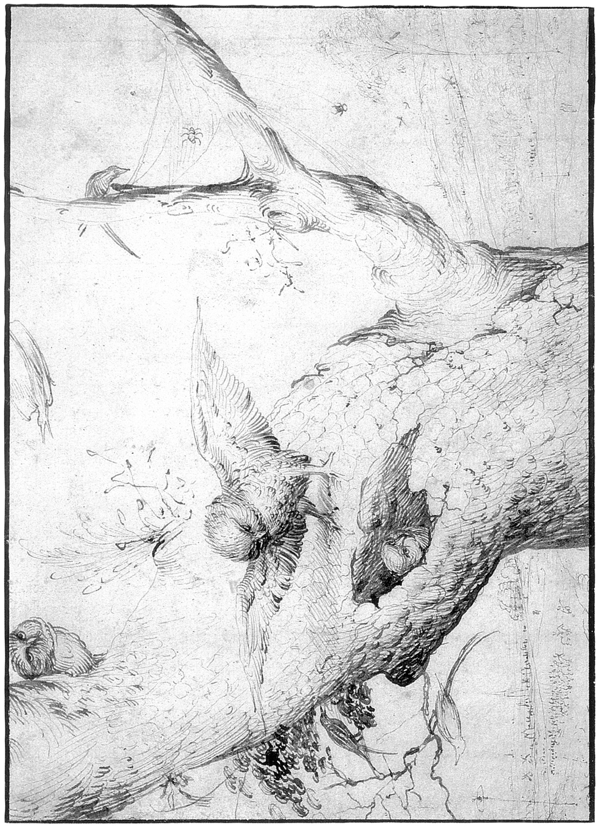 Plate 9 HIERONYMUS BOSCH Plate 10 EDM BOUCHARDON Plate 11 - photo 10