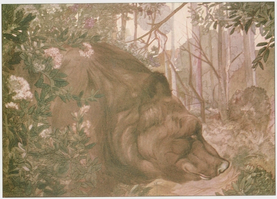 Baloo in the Forest The Jungle Book PLATE 16 The Cold Lairs The Jungle - photo 17