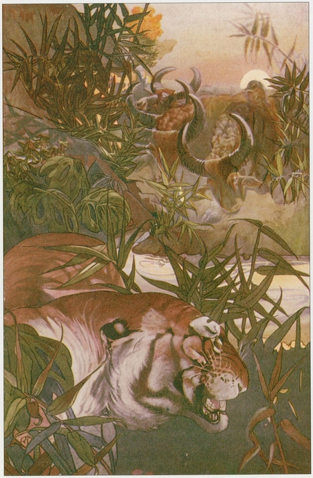 Shere Khan in the Jungle The Jungle Book PLATE 20 The Return of the - photo 21