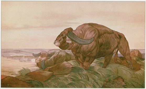 The Return of the Buffalo Herd The Jungle Book PLATE 21 Rikki-tikki-tavi - photo 22