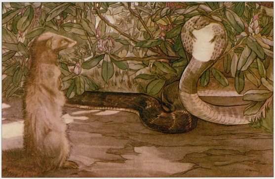 Rikki-tikki-tavi and Nag The Jungle Book PLATE 22 Elephant-Dance The - photo 23