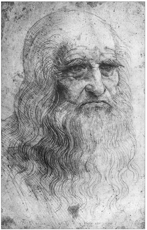 2 LEONARDO DA VINCI 1452-1519 Self-portrait 1510 Red chalk on paper 333 - photo 3