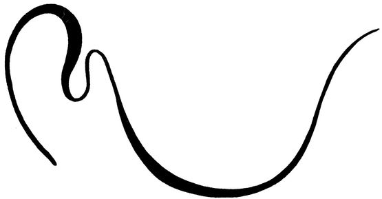 Diagram 16 Line Free wave-like line with accenthorizontal position - photo 17