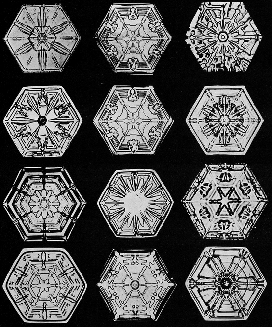 Snowflakes in Photographs - photo 4