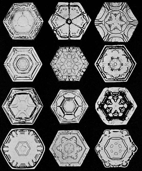 Snowflakes in Photographs - photo 6