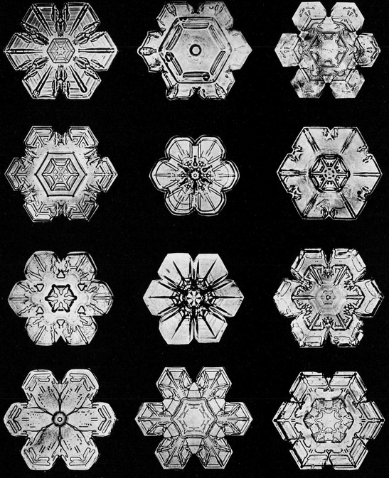 Snowflakes in Photographs - photo 9