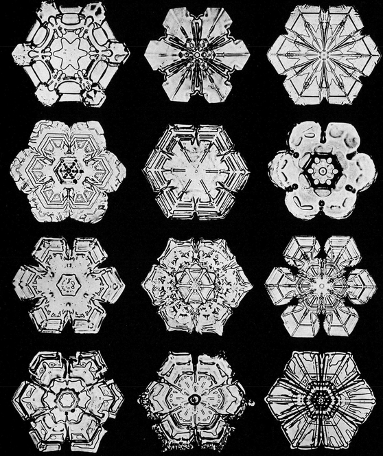 Snowflakes in Photographs - photo 11