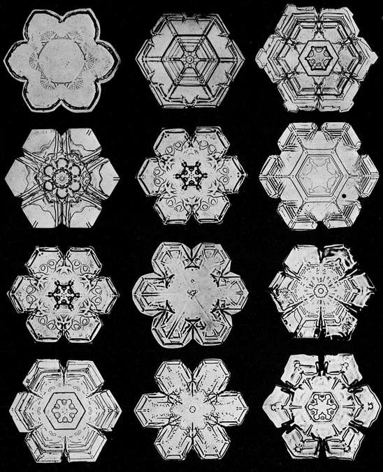 Snowflakes in Photographs - photo 12