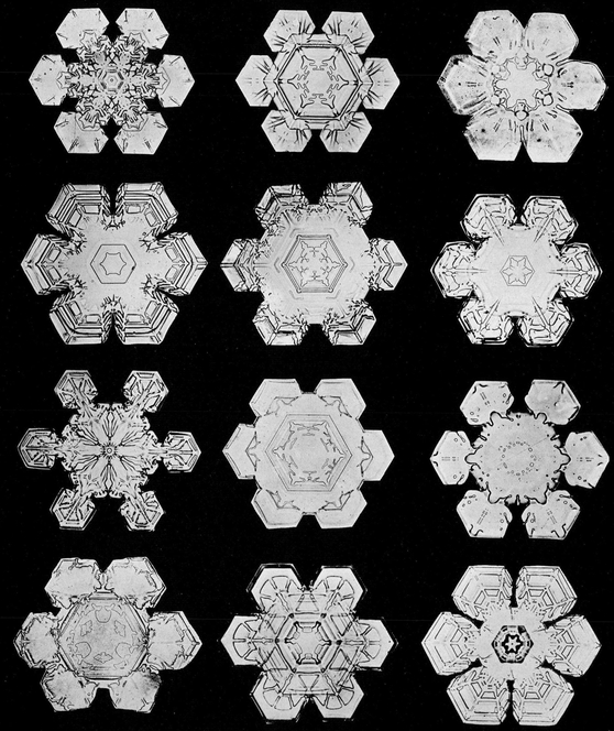 Snowflakes in Photographs - photo 15