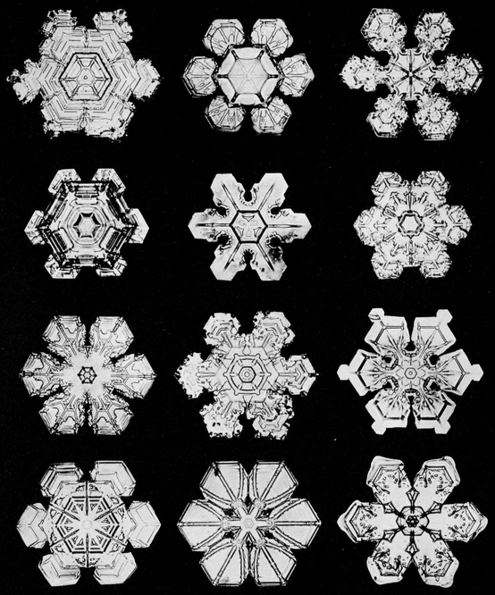 Snowflakes in Photographs - photo 18