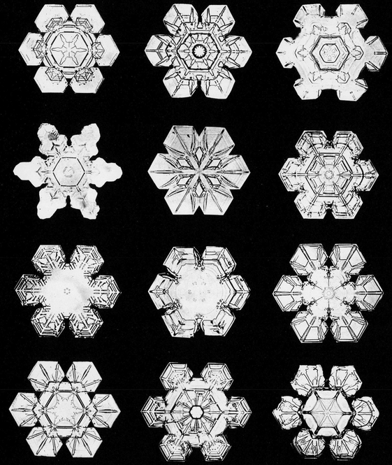 Snowflakes in Photographs - photo 19