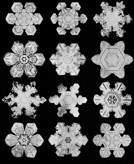 Snowflakes in Photographs - photo 20