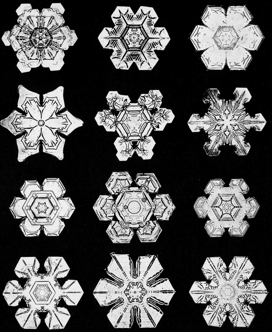 Snowflakes in Photographs - photo 22