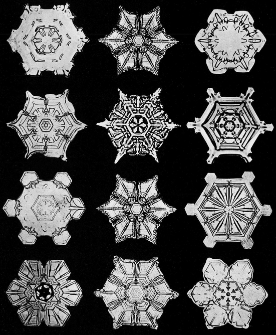 Snowflakes in Photographs - photo 23