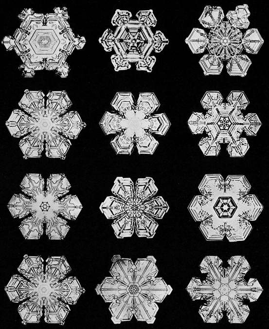 Snowflakes in Photographs - photo 24