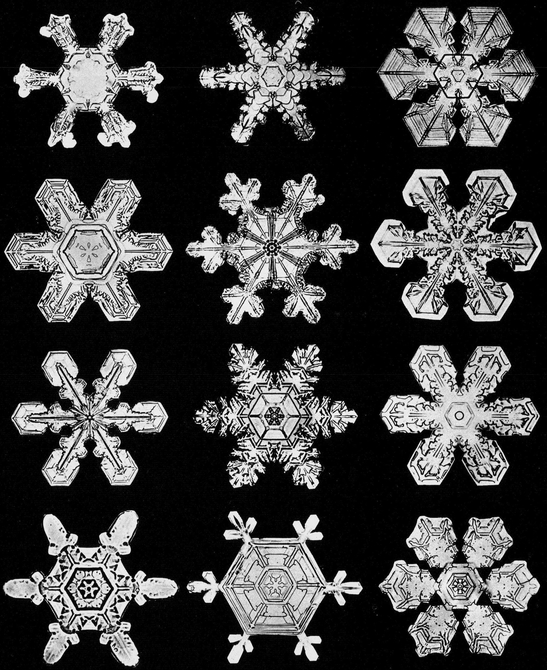 Snowflakes in Photographs - photo 27