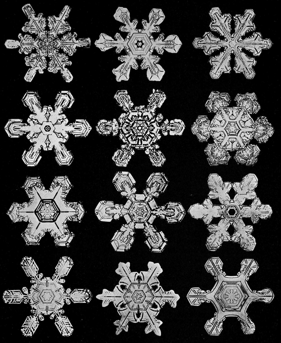 Snowflakes in Photographs - photo 28