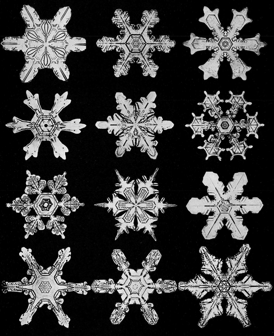 Snowflakes in Photographs - photo 31