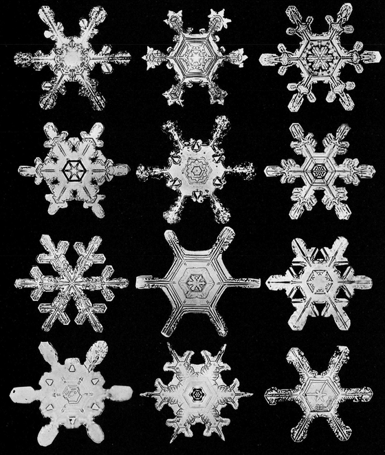 Snowflakes in Photographs - photo 33