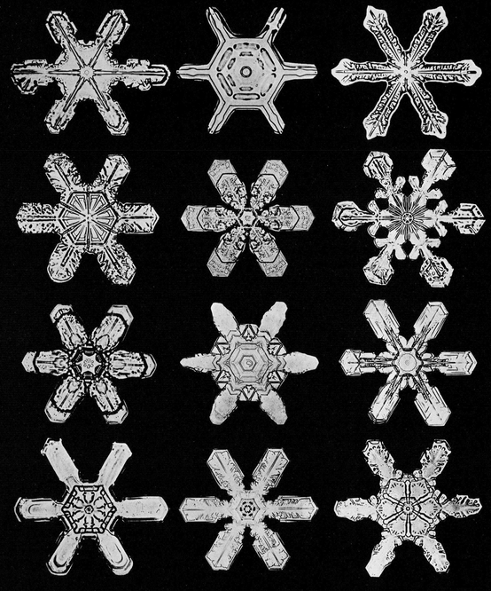 Snowflakes in Photographs - photo 34