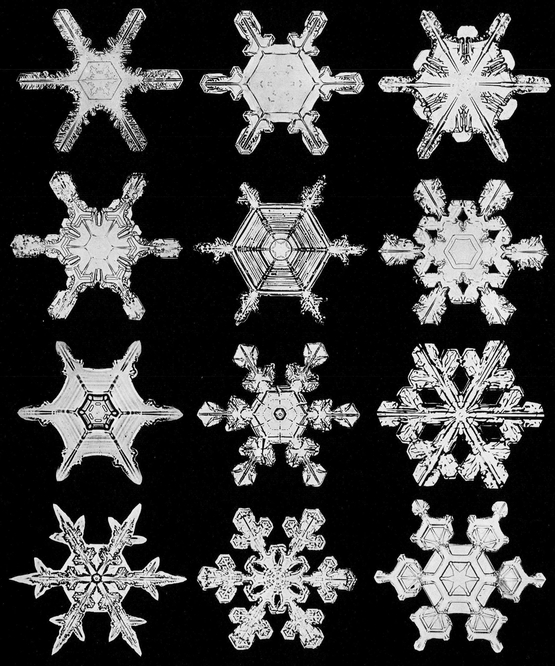 Snowflakes in Photographs - photo 35