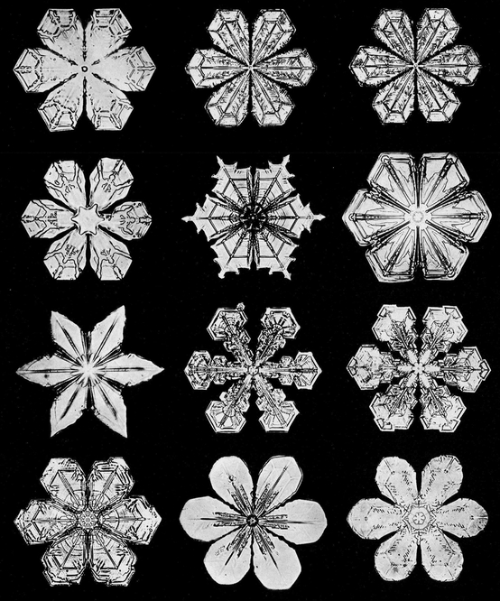 Snowflakes in Photographs - photo 36