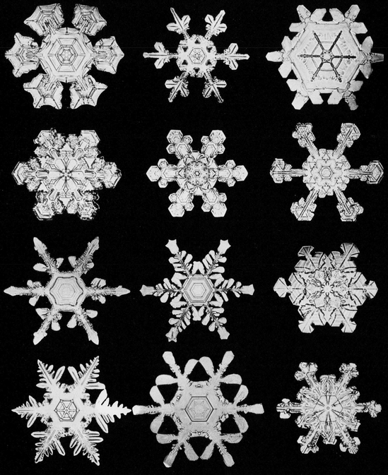 Snowflakes in Photographs - photo 37