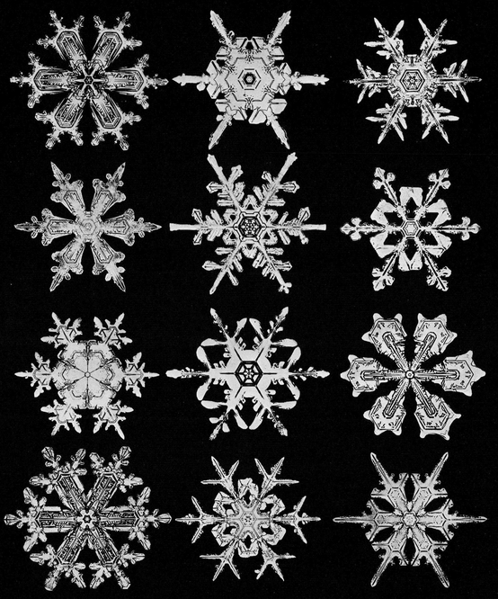 Snowflakes in Photographs - photo 38