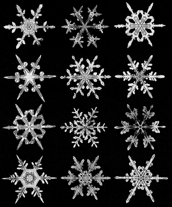 Snowflakes in Photographs - photo 40