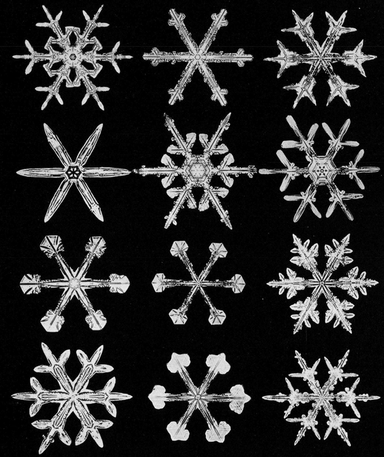 Snowflakes in Photographs - photo 41