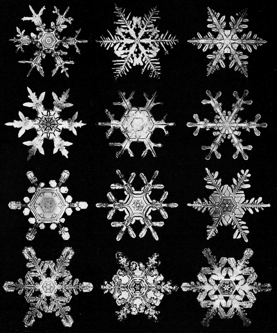 Snowflakes in Photographs - photo 42