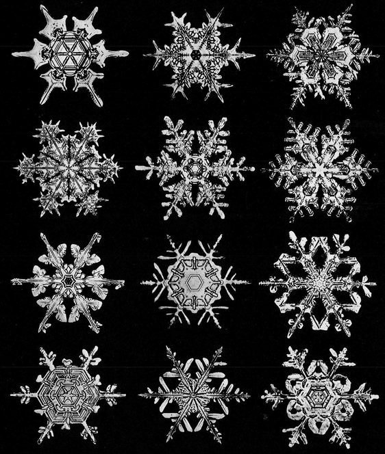 Snowflakes in Photographs - photo 43