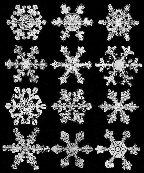 Snowflakes in Photographs - photo 44