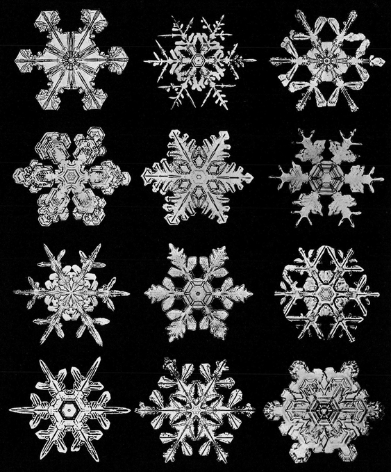 Snowflakes in Photographs - photo 45