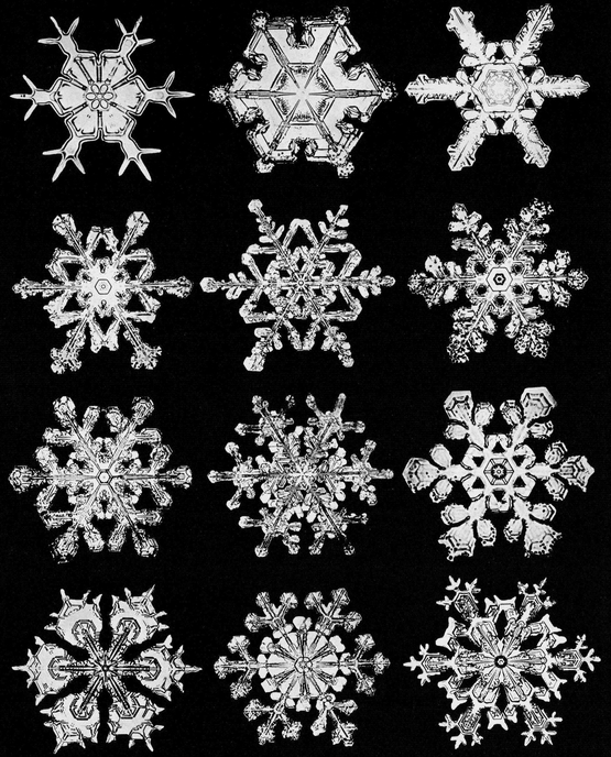 Snowflakes in Photographs - photo 46