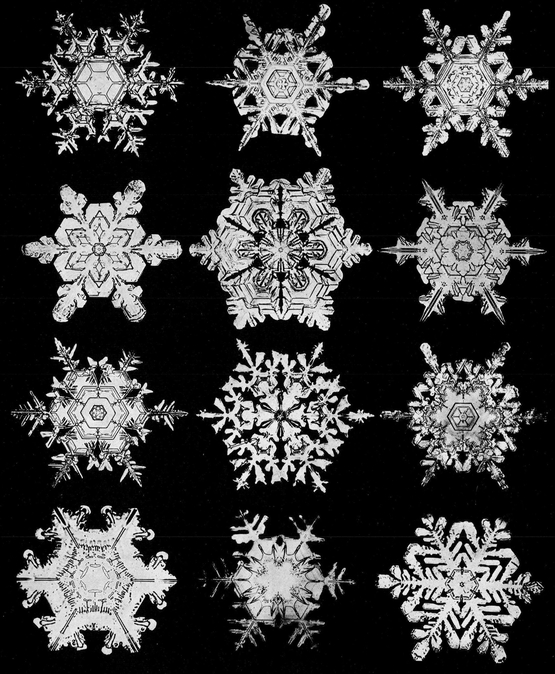 Snowflakes in Photographs - photo 47