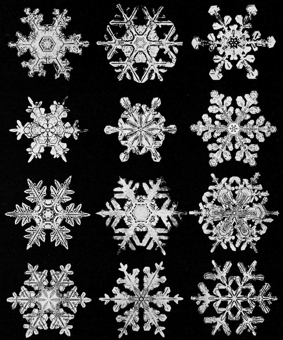 Snowflakes in Photographs - photo 50