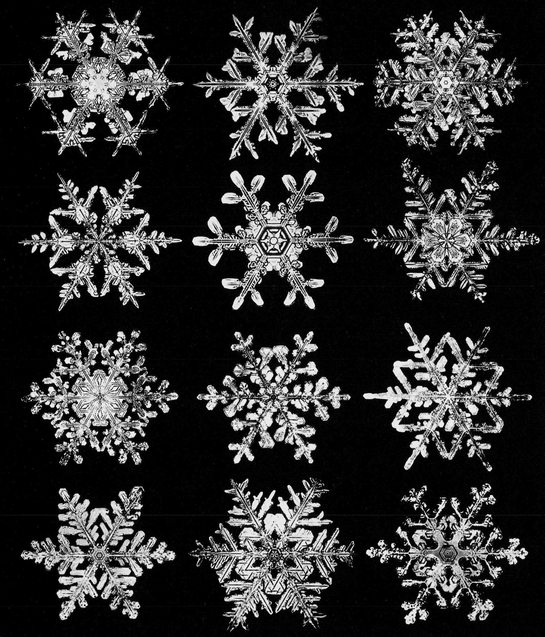 Snowflakes in Photographs - photo 51