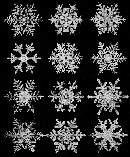 Snowflakes in Photographs - photo 52