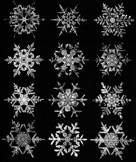 Snowflakes in Photographs - photo 53