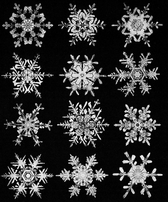 Snowflakes in Photographs - photo 54