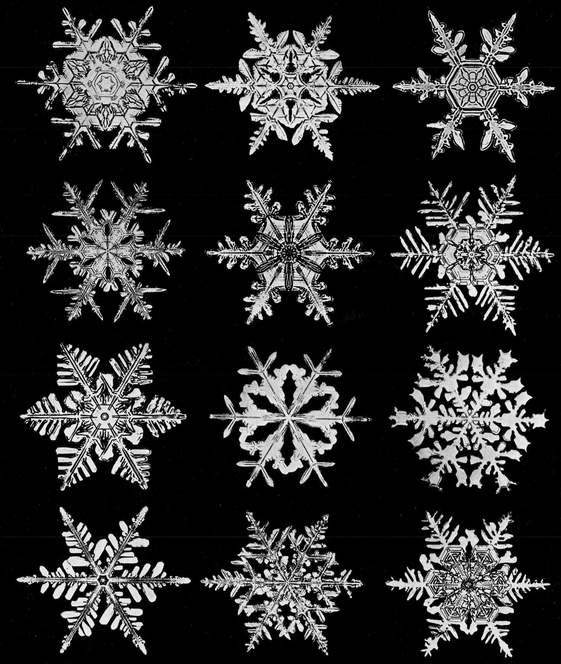 Snowflakes in Photographs - photo 55