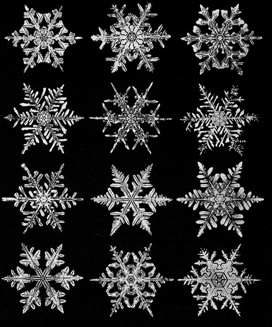 Snowflakes in Photographs - photo 56