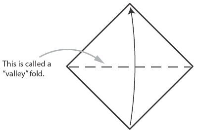 1 Fold the lower corner to the upper corner 2 Fold the lower corner to - photo 8