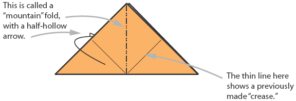 3 Fold the left half behind on a vertical crease 4 Fold the lower edge to - photo 10