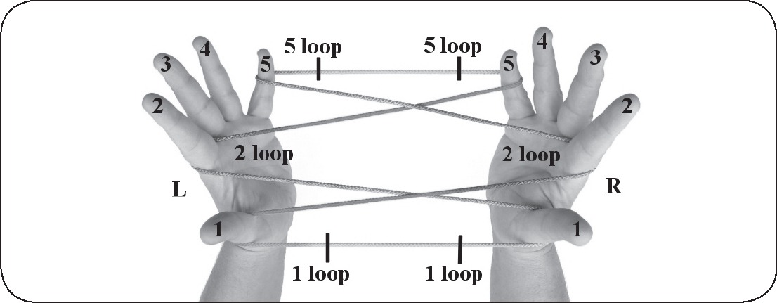 The fingers of each hand are numbered 1 to 5 L stands for Left R stands for - photo 9