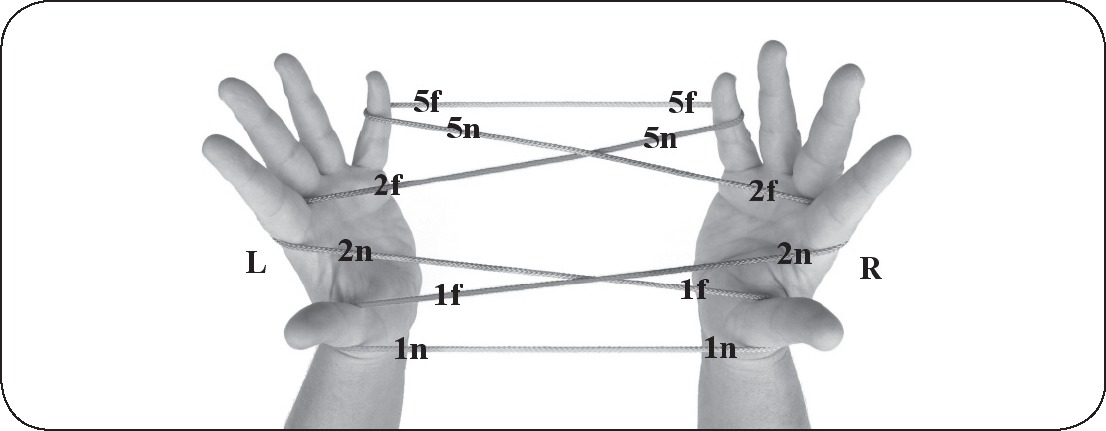 Each loop has a near string n and a far string f The near string is the - photo 10