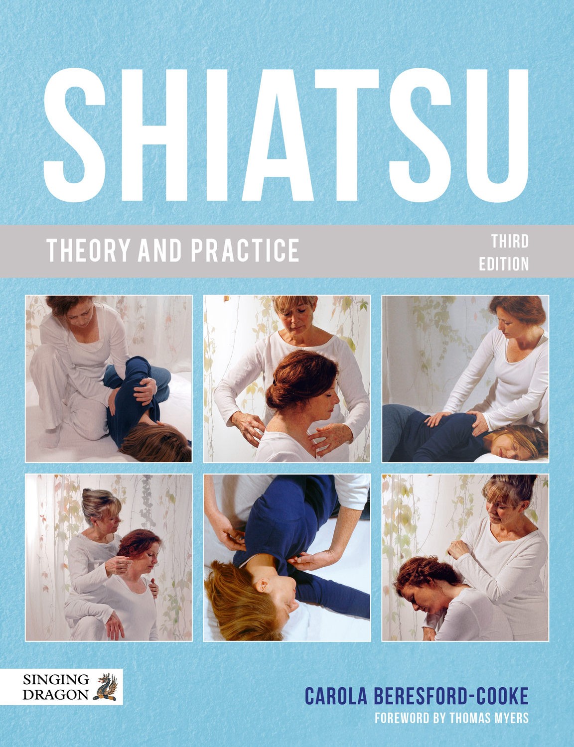 Shiatsu Theory and Practice - image 1